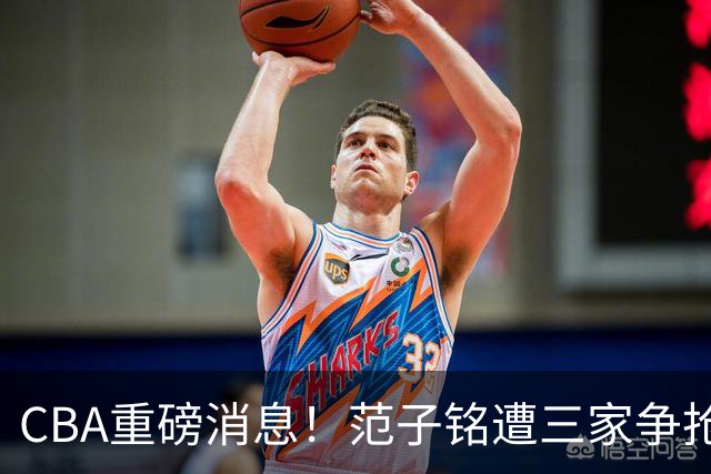 CBA重磅消息！范子铭遭三家争抢 杜锋是心理学博士 刘铮回上海男篮